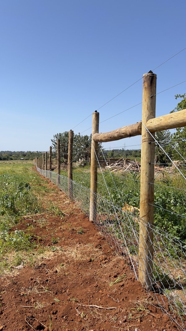 Galvanized Chainlink - Image 10
