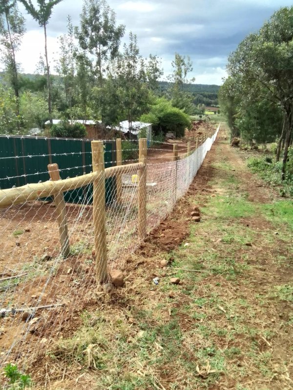 Galvanized Chainlink - Image 5