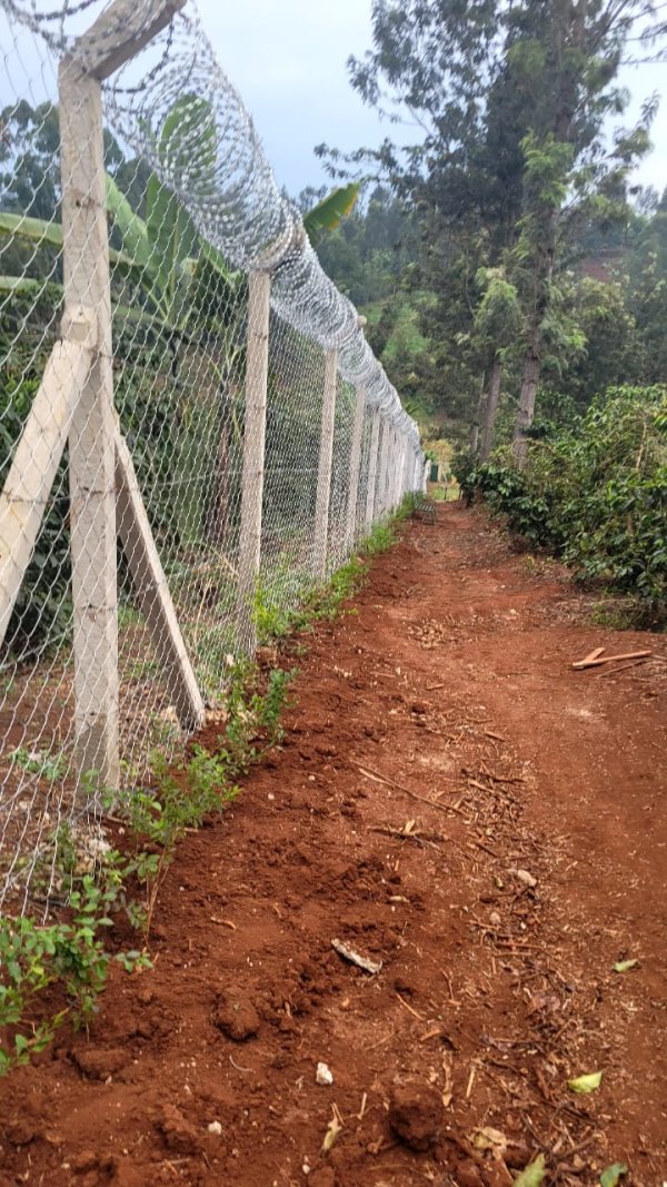 Galvanized Chainlink - Image 15
